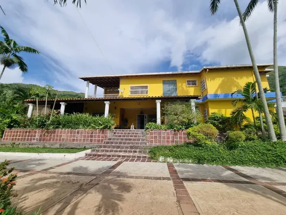 Annic Coronado Vende Quinta En Las Morochas. San Diego 15000 M2. Ref. 287327