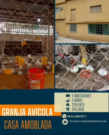 Granja Avícola En Tocuyito 