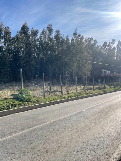 Tres Sitios Urbanos Camino Dolores Jeria Navidad A Matanzas