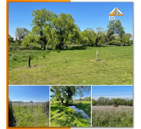 Venta 2 Predios Agrícolas, San Carlos