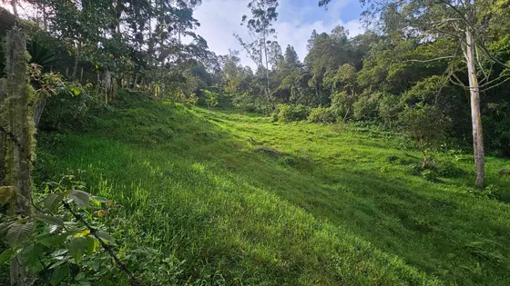 Vendo Finca En Garagoa - Boyaca Cerca Al Pueblo
