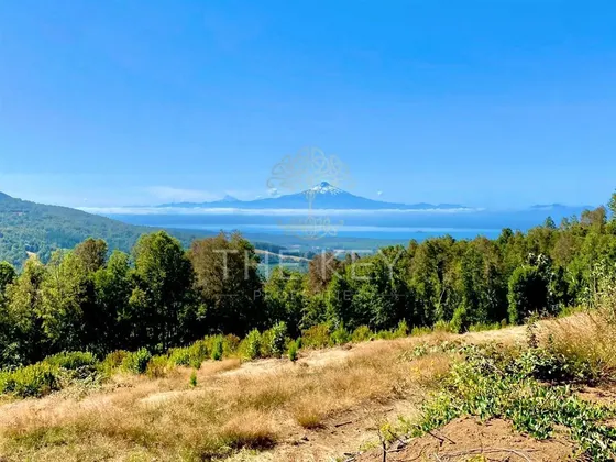 Parcela En Venta En Villarrica Condominio - Pedregoso