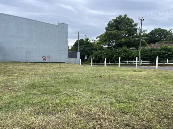 Vendo Lote Uso De Suelo Mixto Para Apartamentos O Comercio, Diagonal A La Gasolinera Santa Lucia O A Unos 200 Metros Del Automercado. Ya Tiene Instalados 2 Medidos De Agua Y 2 Energía Eléctrica