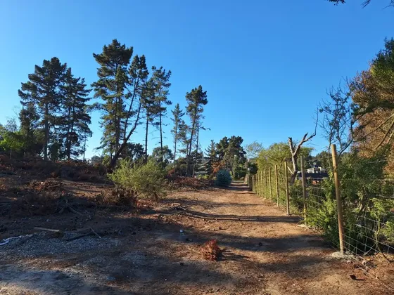Venta Terreno 5.288 M2 Cercano A Av Gastón Hamel