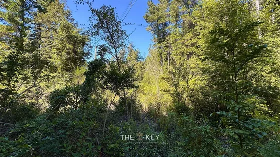Sitio En Venta En Pucón Zanjón Seco Candelaria