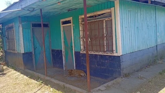 Lote Con Casa Para Remodelar O Demoler