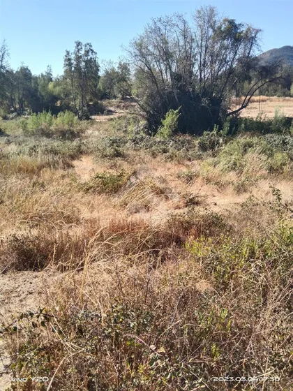 Sitio En Venta En Molina