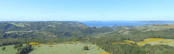  Chiloé, 11 Hectareas,dalcahue (70137)