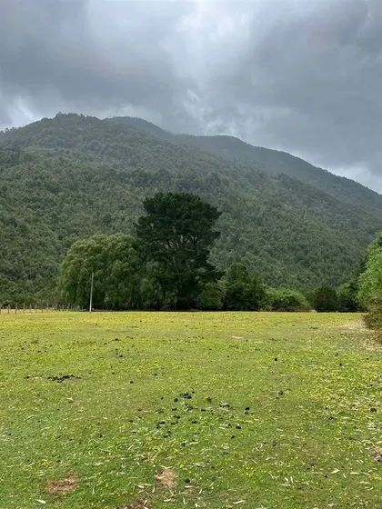 Terreno En Venta En Cochamo