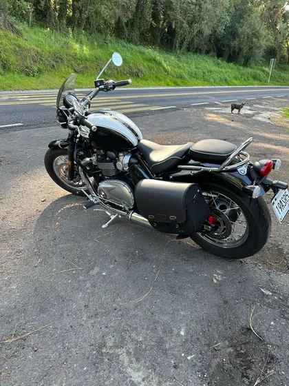Triumph Boneville Speedmaster 2020