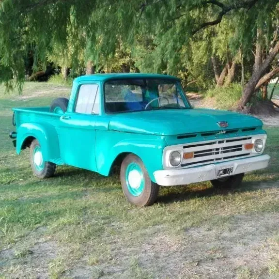 Ford F-100 3.6 Std