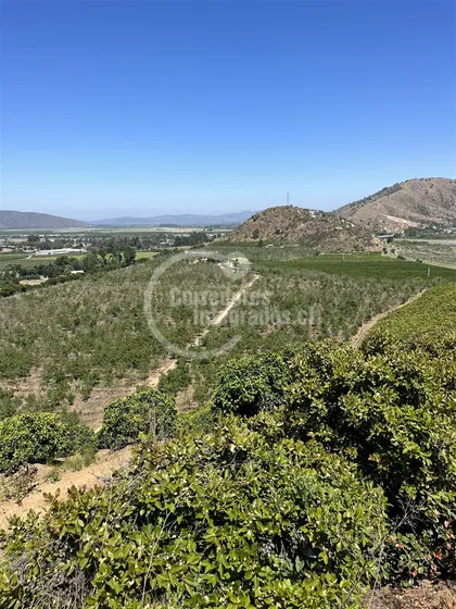 Agrícola En Venta En Melipilla