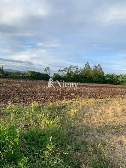 Agrícola En Venta En Chimbarongo