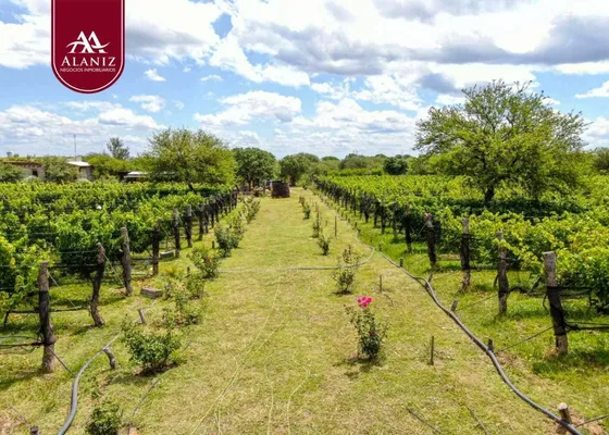 Venta De Emprendimiento Soñado En Merlo, San Luis 