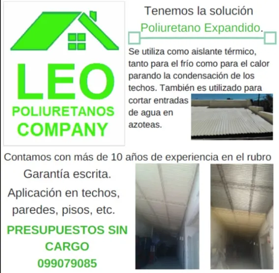 Poliuretano Salto
