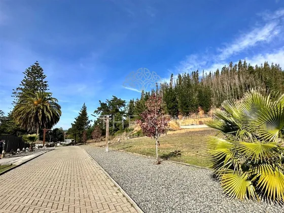 Sitio En Venta Camino A Santa Juana