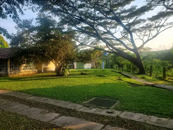 Conjunto Campestre De 5 Casas Que Conforman Un Condominio, Safari Carabobo, Sector La Yaguara, Tiene Piscina