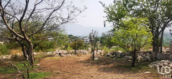 Venta Terreno 0 Ambiente San Carlos