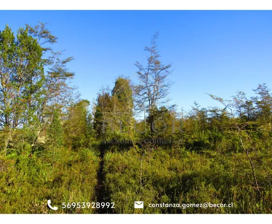 Becor Vende Parcela De 5.500 M2, Parcelación Parque Austral