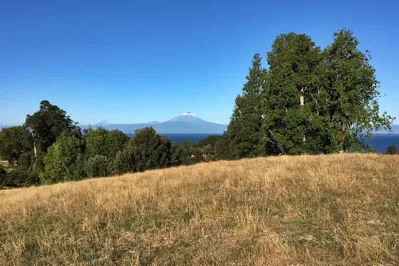 Hermosa Parcela En Frutillar Con Vista Al Lago