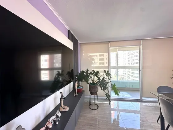 Amplio Depto De 3d+2b+est+bog Con 2 Terrazas En San Miguel