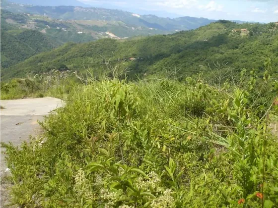 Sabaneta, El Hatillo Vendo Terreno De 4666m2