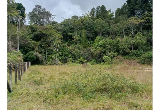 Encantador Lote En Venta El Peñol Apto Para Proyecto 