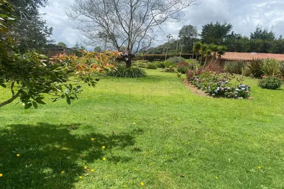 Casalote En Venta En Vereda Pantanillo. Cod V501369
