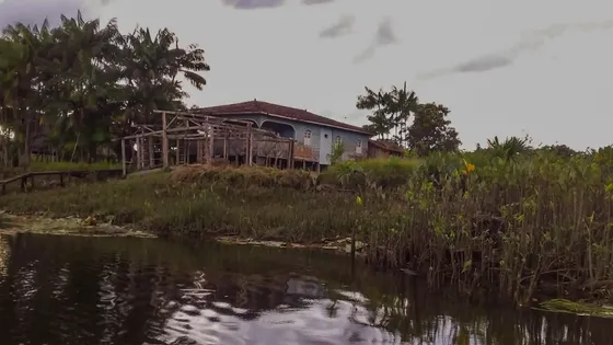 Fazenda Situada Na Cabeceira Do Rio Inamaru Muaná