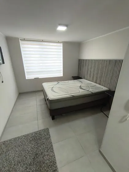 Precioso Homestudio A Pasos Del Mall Del Centro Amoblado