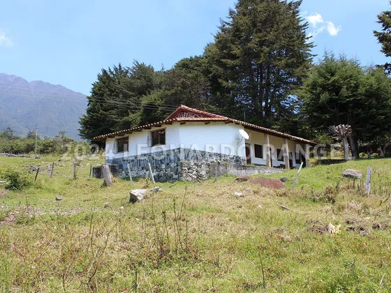 Se Vende Finca De 3,5 Hectáreas En La Culata, Mérida.