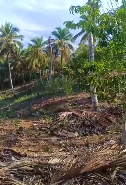 Finca Que Colinda Con Río En Monte Plata