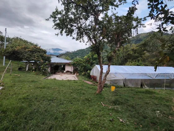 Se Vende O Permuta Hermosa Finca Cafetera