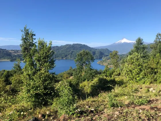 Terreno Con Vista Al Lago, Pullinque, Comuna Panguipulle