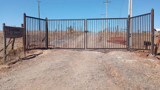 Vendo Excelente Parcela 5000 M2, Ubicada En Lomas De Angol. 