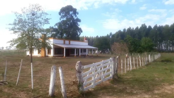 Vendo Chacra De 15 Has. Con Casa De Campo Muy Cerca Del Centro De Esquina, Corrientes!!!!!!