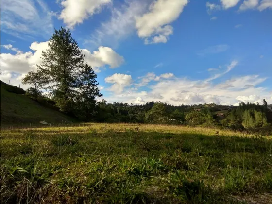 Lote Para La Venta, Loma Del Escobero, El Retiro
