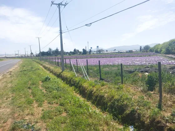 Inversionistas ! Terreno Quillota 1,8 Ha Ideal Constructora