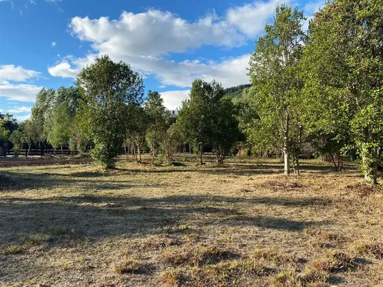 Parcela En Venta En Futrono - Orilla De Río Calcurrupe