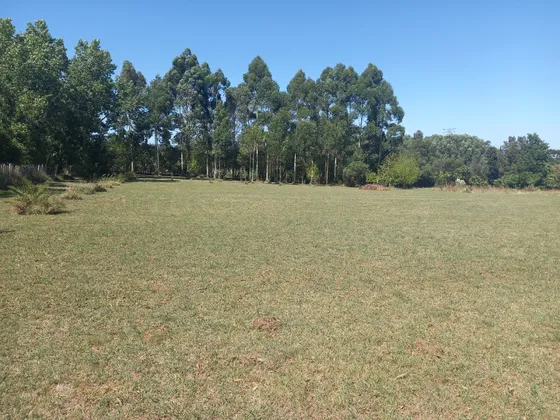 Gran Terreno Alquiler 7000 Mts. Próximo A Ruta Perimetral - Salida A Dos Calles, Zona Manga