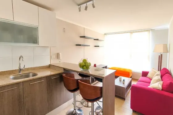 Arriendo Dpto 1d 1b 1e Irarrazaval 5000 (175773)