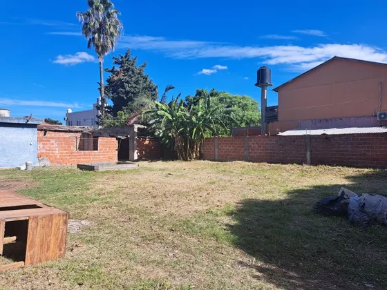 Casa En Alquiler Adrogue !! (solo Para Deposito)