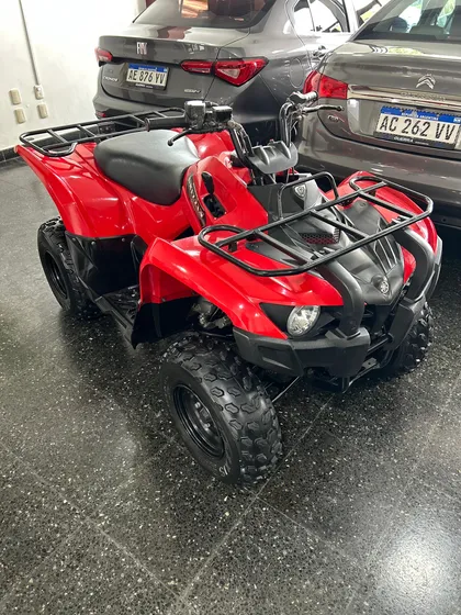 Grizzly 300