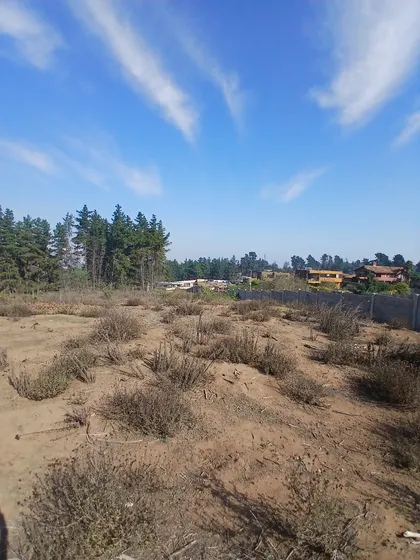 Venta 2.000m2 Terreno Calafquen - Los Pinos - Concón 