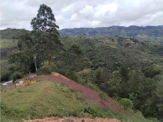 Lote En Venta Sector El Peñolcito, San Vicente 