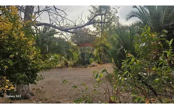 Terreno Comercial 2.104 Mt La Reina/ossandón
