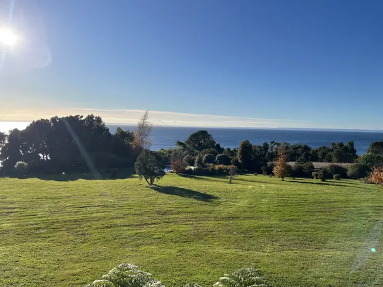 Primera Línea Con Orilla De Lago
