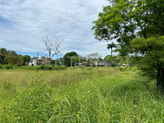 Lote Urbano Saman De La Rivera