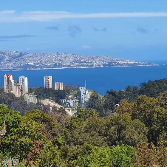 Vendo En Los Pinos Reñaca Terreno De 634m2 Con Vista Única