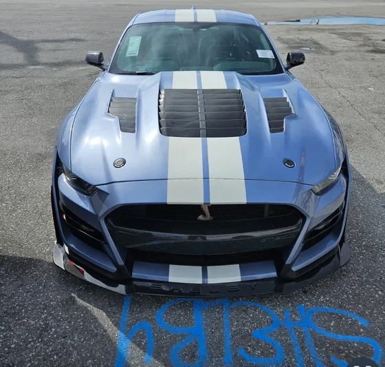 Shelby Mustang Gt500kr Gt500 Kr